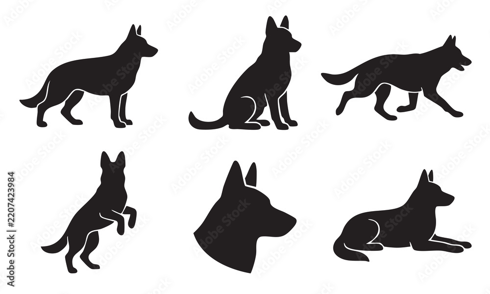 Obraz premium Set of black silhouettes of German Shepherd dogs in various poses and actions.