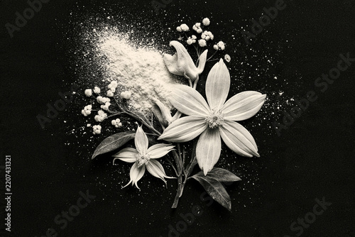 White Flowers Dusted with Powder on Black Background