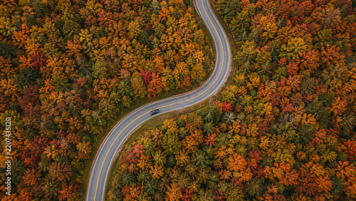 Aerial Winding Road Through Colorful Autumn Forest