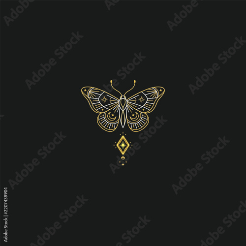 Butterfly logo design template vector illustration