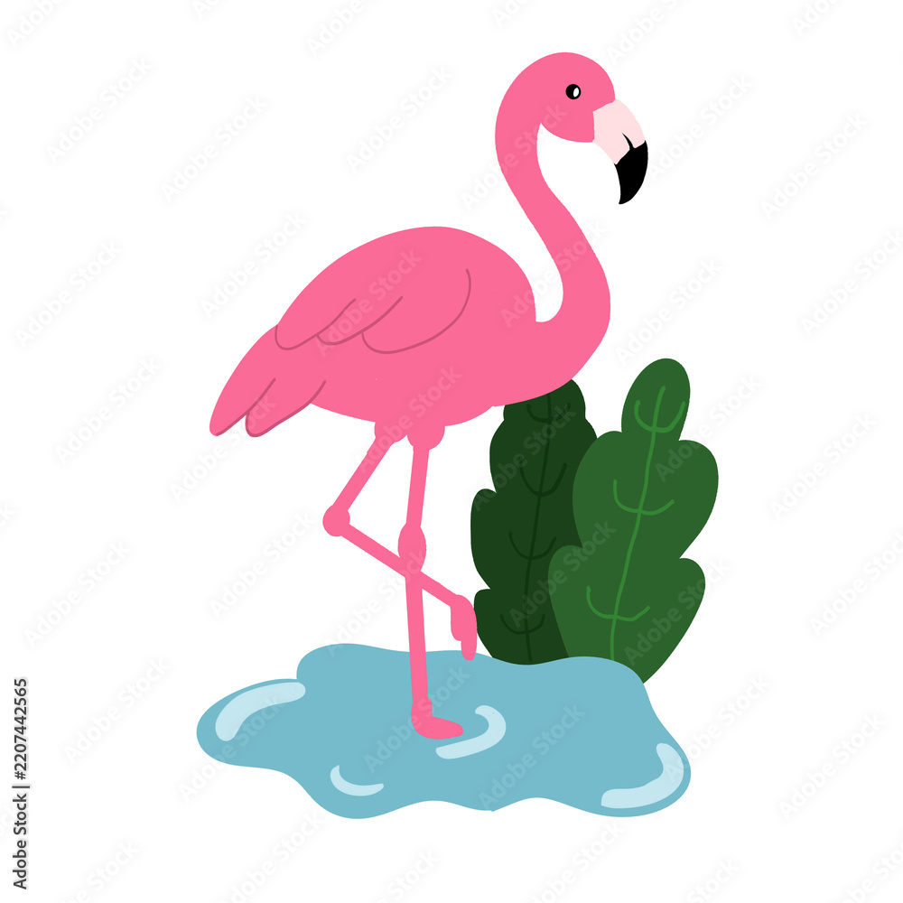 Fototapeta premium pink flamingo vector illustration