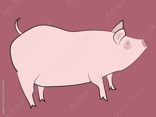 A pig in a cartoon line-art style.