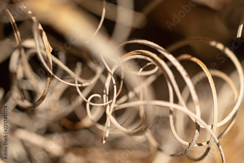 Curly thin strands in close-up