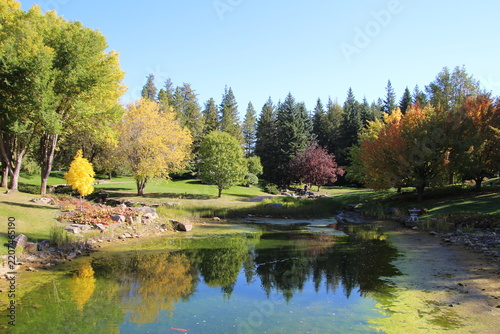 Autumn In The Garden