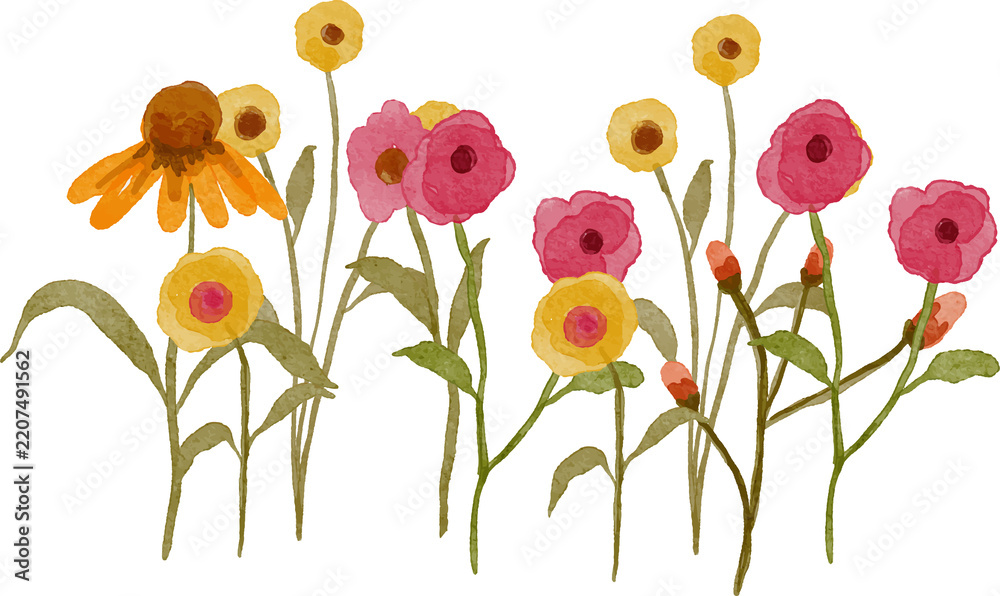 Obraz premium Delicate watercolor illustration of a variety of wildflowers in shades of pink yellow and orange with green stems and leaves on a transparent background.