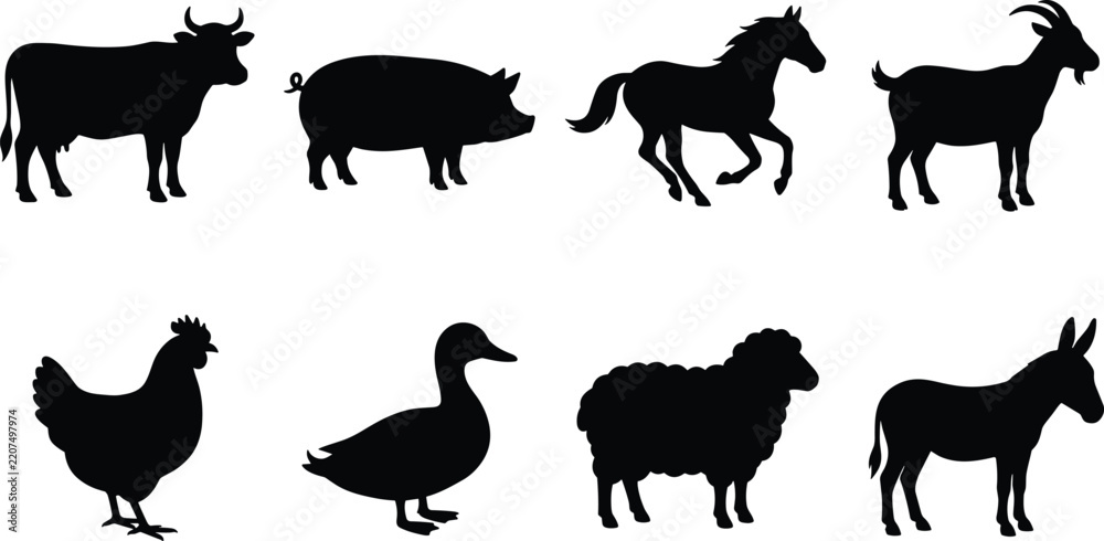 Fototapeta premium Black Farm Animal Silhouette Collection Featuring Cow Pig Horse Goat Chicken Duck Sheep and Donkey