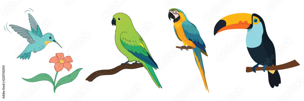 Obraz premium Colorful tropical bird illustration set featuring hummingbird, budgerigar, macaw, and toucan isolated on transparent background.