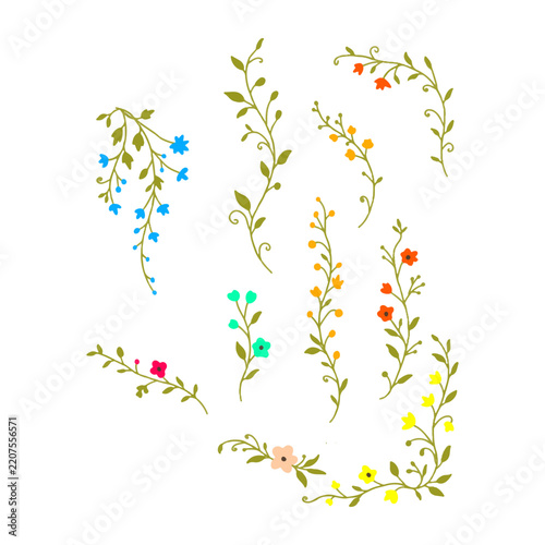 Hand Drawn Flower Sprigs and Leafy Vines Elements Set