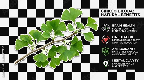 Ginkgo Biloba Natural Benefits Brain Health Circulation Antioxidants Mental Clarity