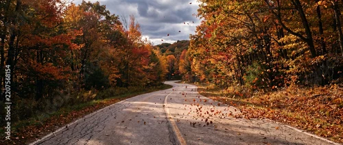 Panel kuchenny z motywem Winding asphalt road through vibrant autumn forest with colorful fallen leaves on transparent background