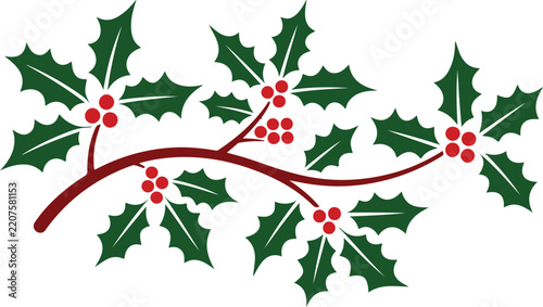 Christmas Holly Branch Illustration with Green Leaves and Red Berries