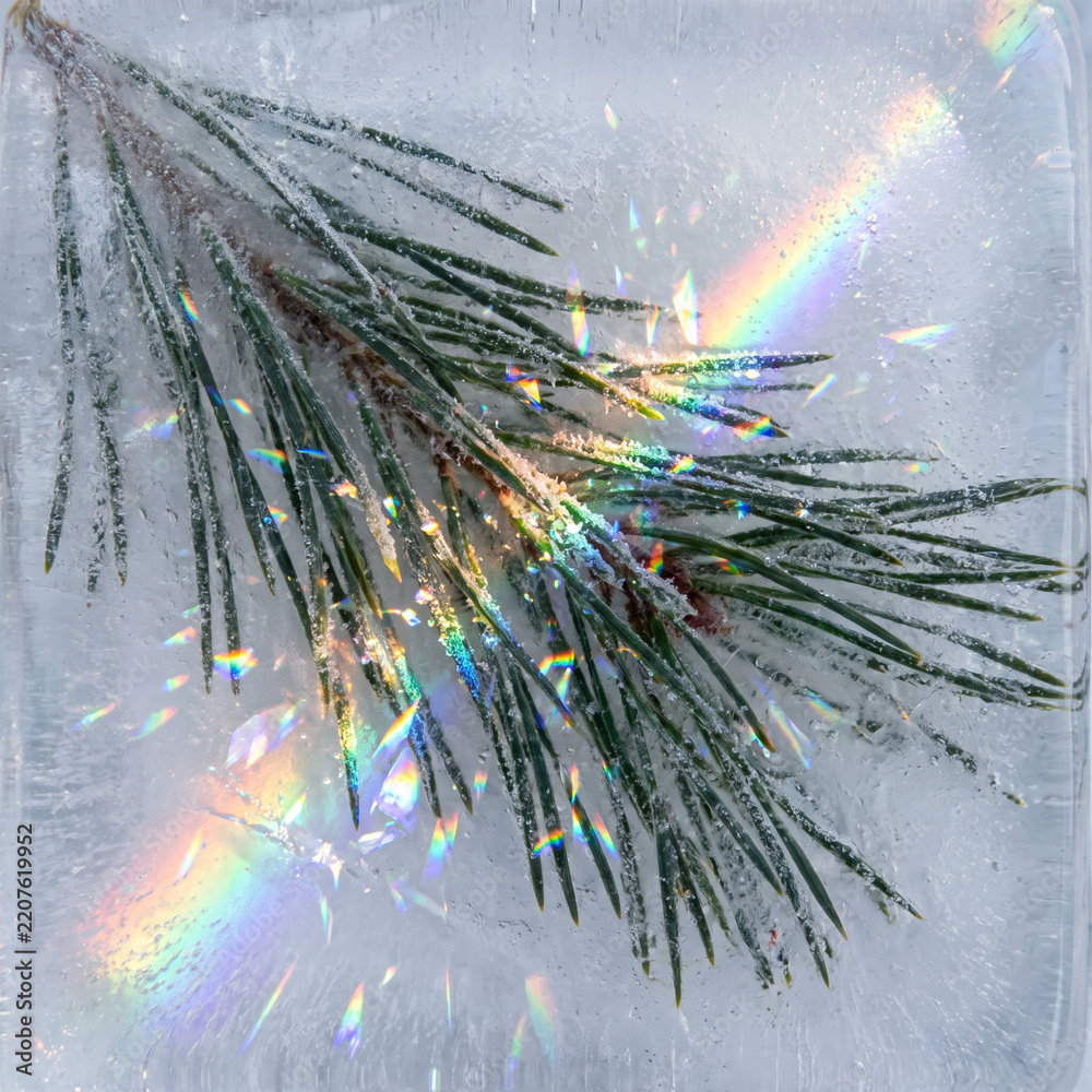 Obraz premium Evergreen pine needles preserved inside solid ice reflecting colorful rainbow prism light flares