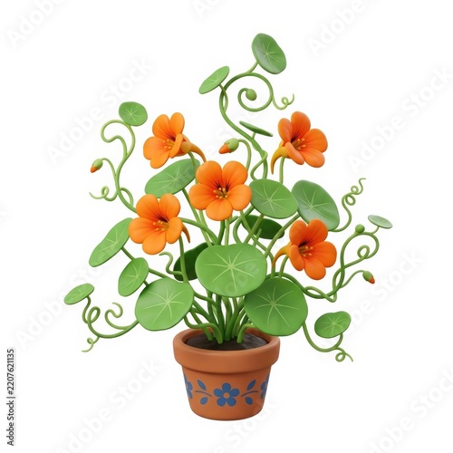 Orange flowering potted vine isolated on white background