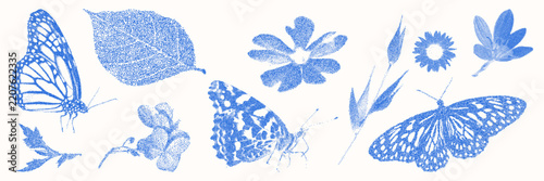 Blue cyanotype floral and butterflies element asset pack. Stipple dot overlay texture. Delicate indigo blue nature shape for template and graphic design project.