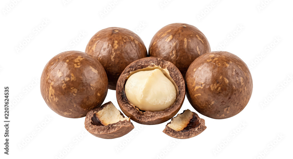 Fototapeta premium Several whole macadamia nuts with one cracked open revealing the creamy kernel, isolated on a clean white background