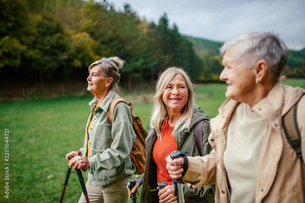 Naklejka premium Group of mature female friends enjoying countryside walk.