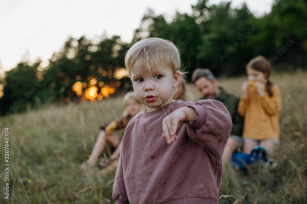 Obraz premium Young child spending summer evening with family in nature.