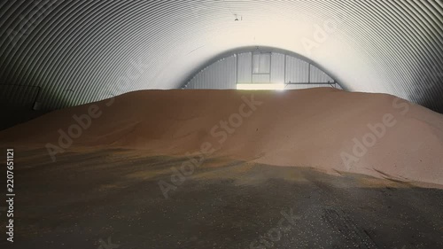 Large pile of harvested grain stored in a metal agricultural warehouse. Grain storage, crop handling, food supply and post-harvest farming concept.