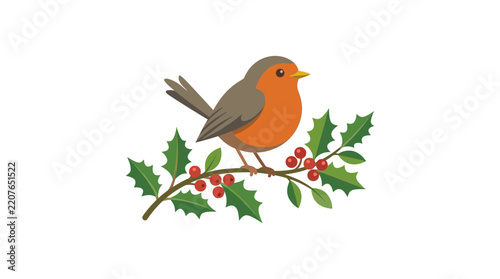 Cute Robin Bird Perched on Holly Branch