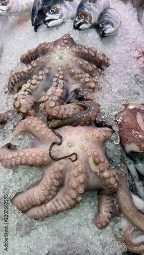 Whole Octopus Displayed on Ice at a Seafood Counter
