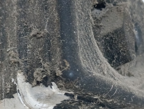Close-up view of dusty cobwebs on a dark textured surface.  Fine threads are visible, clinging to the material.