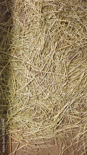 background of straw