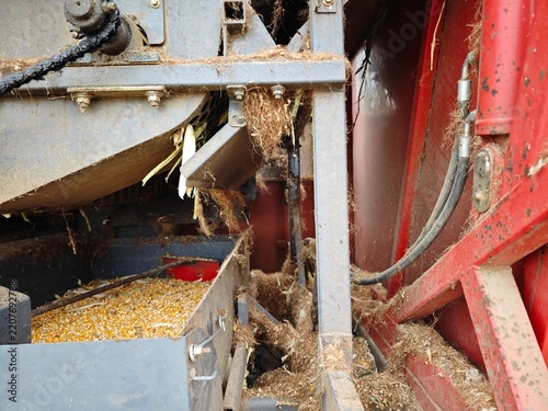 Agricultural Corn Harvesting Machine Working in a Cornfield