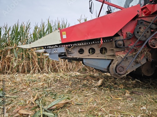 Agricultural Corn Harvesting Machine Working in a Cornfield