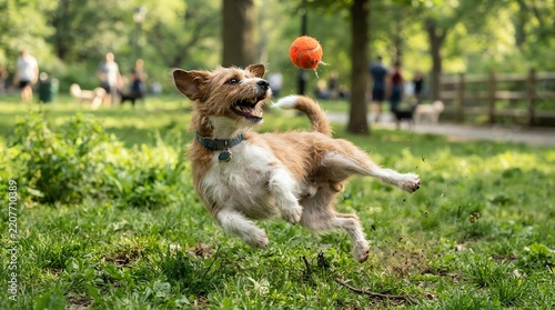 Happy Pet Animal Playing in Green Park