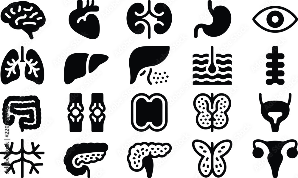 Obraz premium Human Anatomy and Medical Internal Organs Solid Glyph Icon Set Featuring Brain Heart Kidneys Stomach Eye Lungs Liver Intestines Joints Bladder and Reproductive System