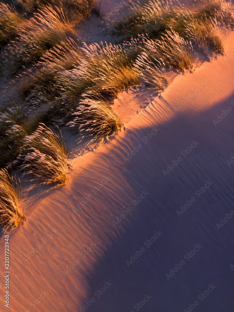 Fototapeta premium Crest of a sand dune crowned with pale seed heads bending in the evening breeze at sunset