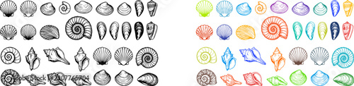 Hand drawn seashell collection with colorful outline versions perfect for summer designs and coastal projects