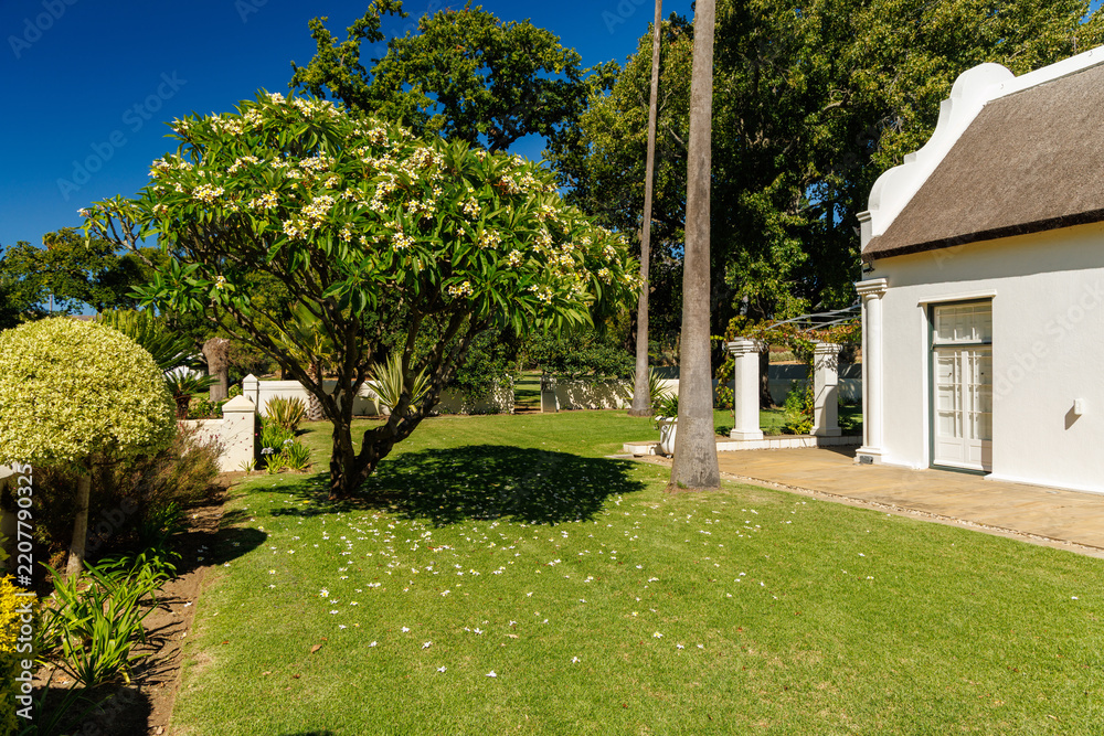 Obraz premium Winery mansion surrounded by greenery in South Africa