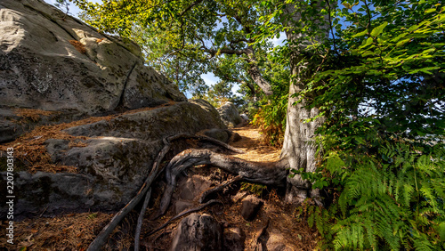 schöner Wanderweg