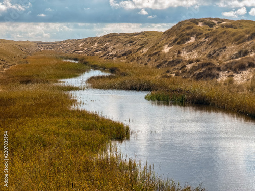 Obraz na plátně Sand dunes on the coast of Petten, The Netherlands