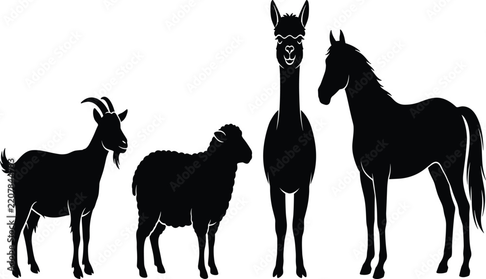 Obraz premium Farm Animal Silhouette Set with Goat, Sheep, Alpaca and Horse Standing in a Row