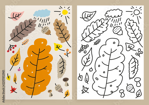 Autumn Leaves and Nature Elements Color and Outline Illustration Set