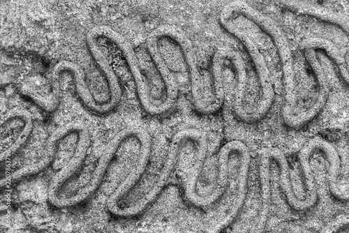 Natural background. Above view of black and white photo fossil at the stone. Horizontally. 