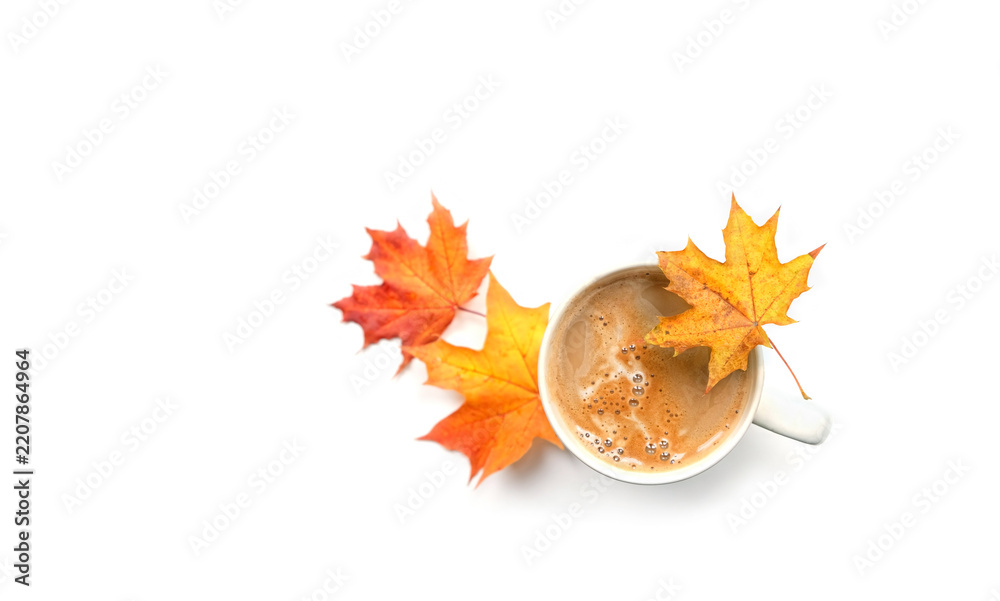 Obraz premium Cup of coffee and fallen bright autumnal maple leaves isolated on abstract white background. symbol of fall season, autumn time. minimal style composition. flat lay. copy space. element for design