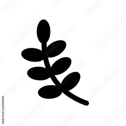 Bavarian Edelweiss Flower Black Silhouette Isolated Vector