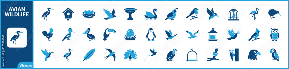 Obraz premium Ornithology And Wild Birds two-tone icon set. Filled glyph pictograms of avian species, birdwatching equipment, wildlife habitats, and nature elements, blue duotone illustration.