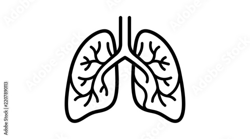 Human Lungs, Eye, and Brain Anatomy Vector Line Art Set