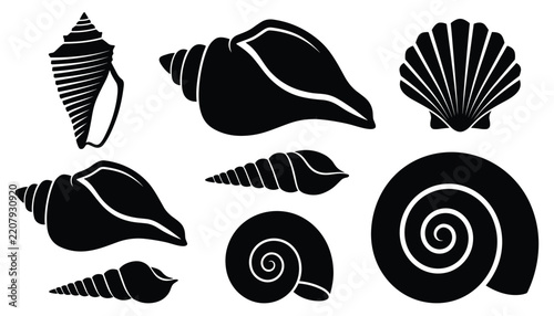 Detailed set of various seashell silhouette shapes isolated on transparent background