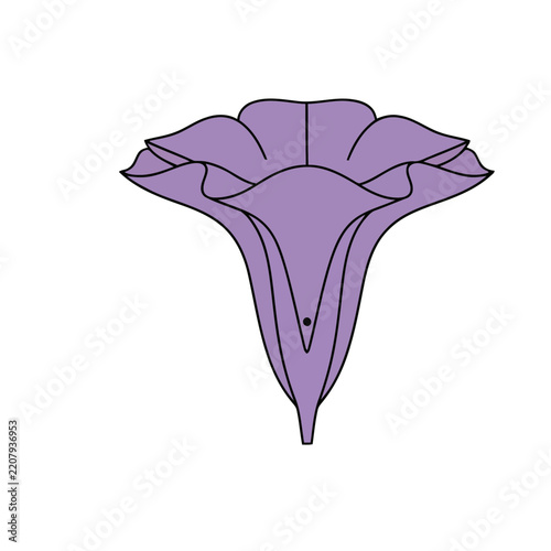 Purple flower illustration