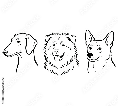 Cute Dog Breeds Portrait Line Art Set
