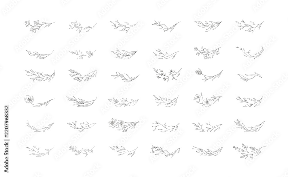 Fototapeta premium Set of whimsical floral design elements. Botanic ark and borders . Leaves and branches print for social media, packaging or wedding greeting card. Vector