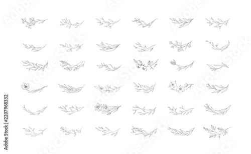 Set of whimsical floral design elements. Botanic ark and borders . Leaves and branches print for social media, packaging or wedding greeting card. Vector