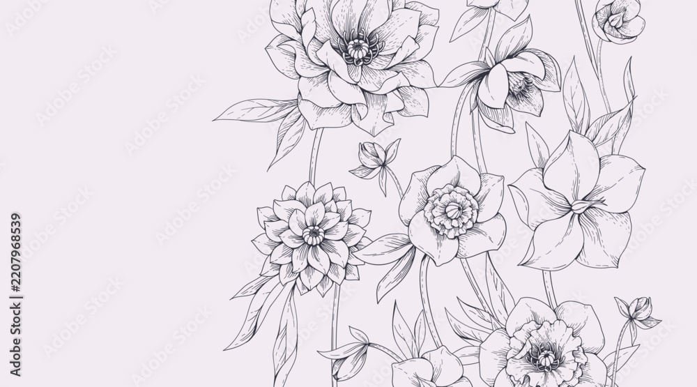 Fototapeta premium Hellebore background with flowers and leaves. Detailed hand drawn ink illustration of helleborus for invitation, wallpaper art or save the date