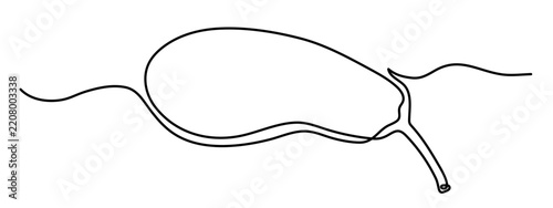 Eggplant zucchini vegetable one line art, guinea squash continuous line drawing organic healthy food grocery shopping vegan raw nutrition farm aubergine nutritional products. Editable stroke. Isolated