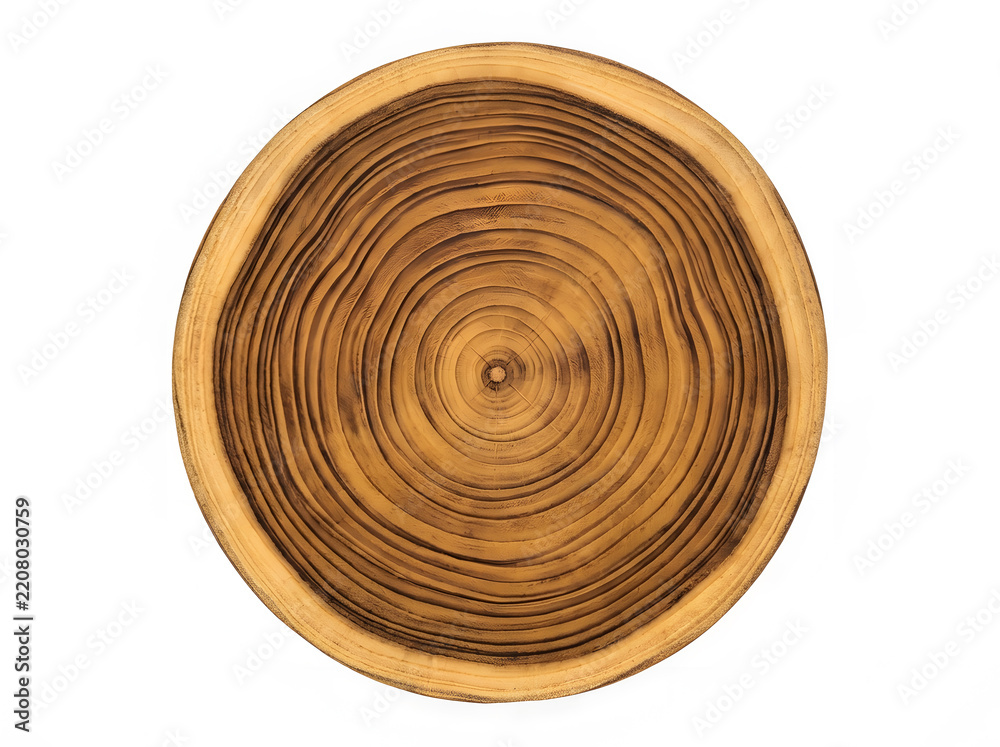 Fototapeta premium Natural teak wood cross section with growth rings | Circular tree trunk slice on white background | Detailed timber texture and dendrochronology pattern